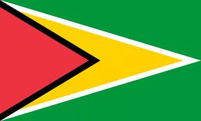 Guyana Flag Apparel - Conscious Apparel Store