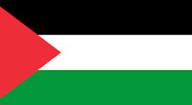Palestine Flag Apparel - Conscious Apparel Store