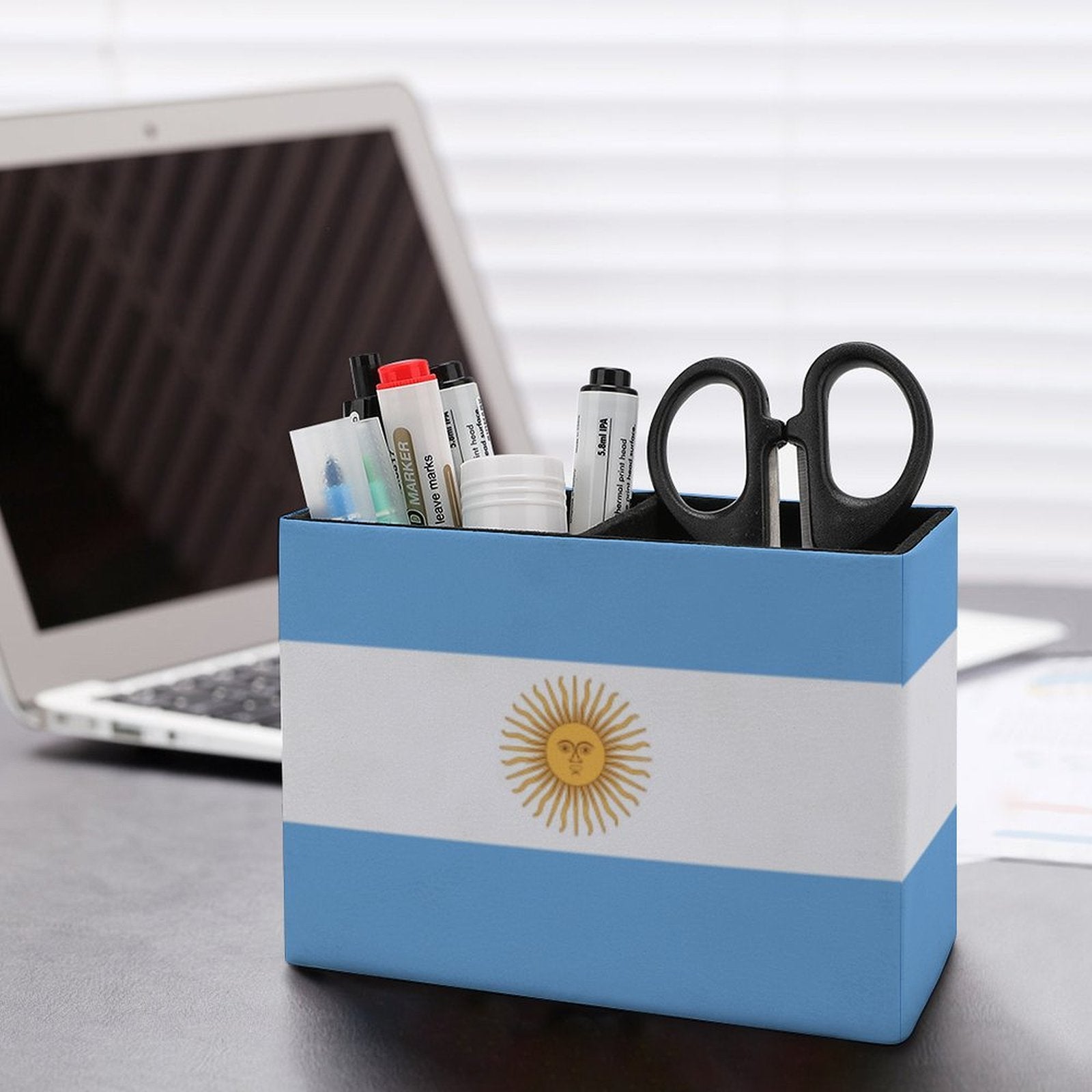 Argentina Flag Leather Pen Holder