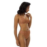 Egyptian Hieroglyphs (Red - Rust) high - waisted bikini (6 Colors Available) - Conscious Apparel Store