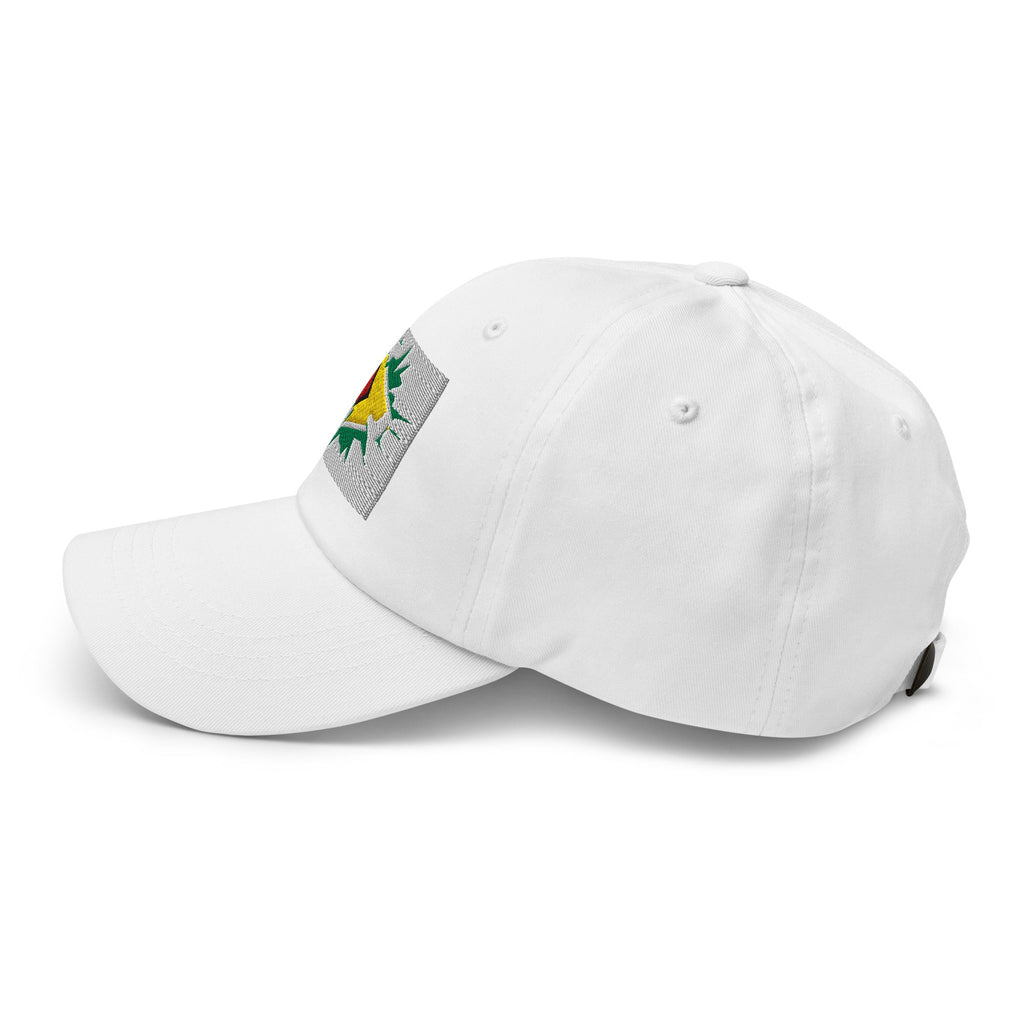 Guyana Flag Ball Cap - Conscious Apparel Store