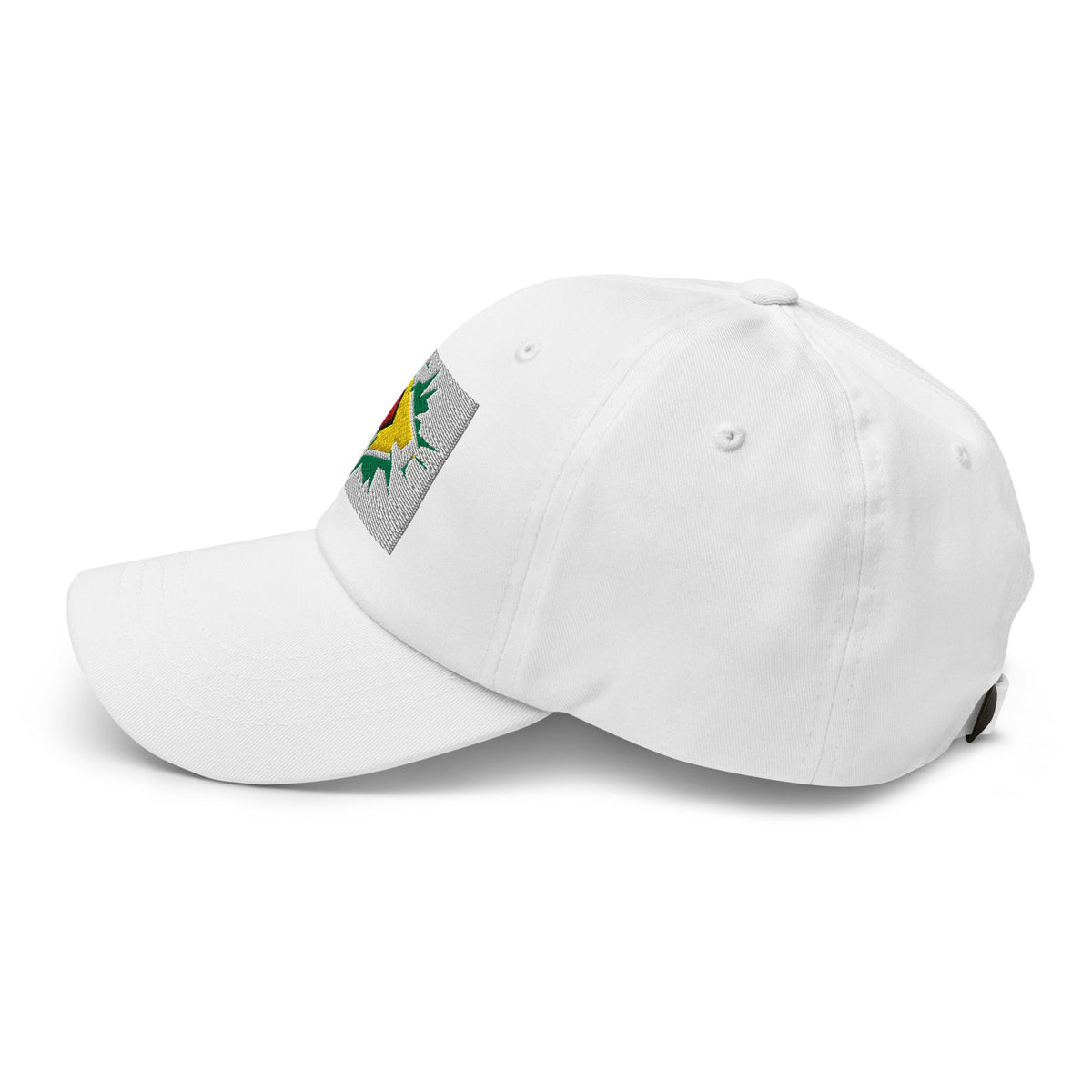 Guyana Flag Ball Cap - Conscious Apparel Store
