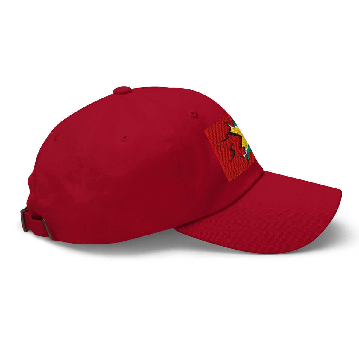 Guyana Flag Ball Cap - Conscious Apparel Store