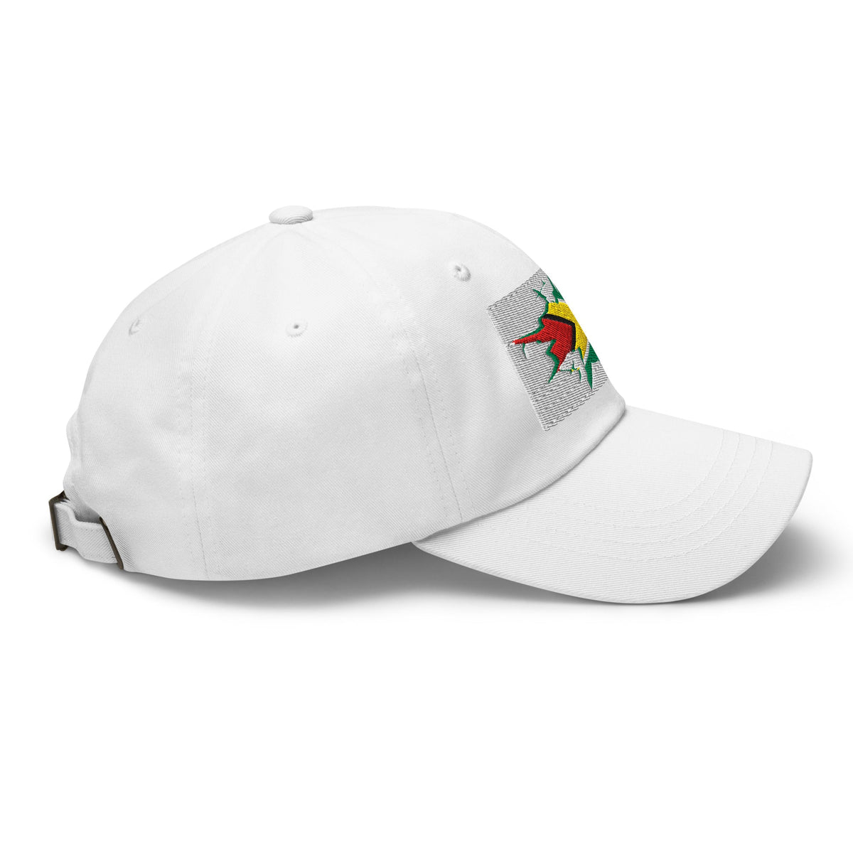 Guyana Flag Ball Cap - Conscious Apparel Store