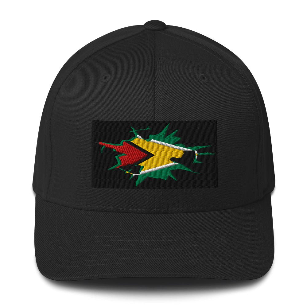 Guyana Flag Fitted Ball Cap - Conscious Apparel Store