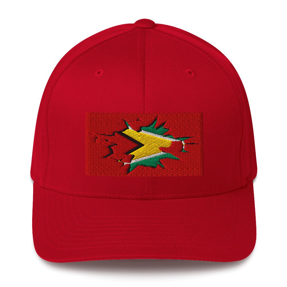 Guyana Flag Fitted Ball Cap - Conscious Apparel Store