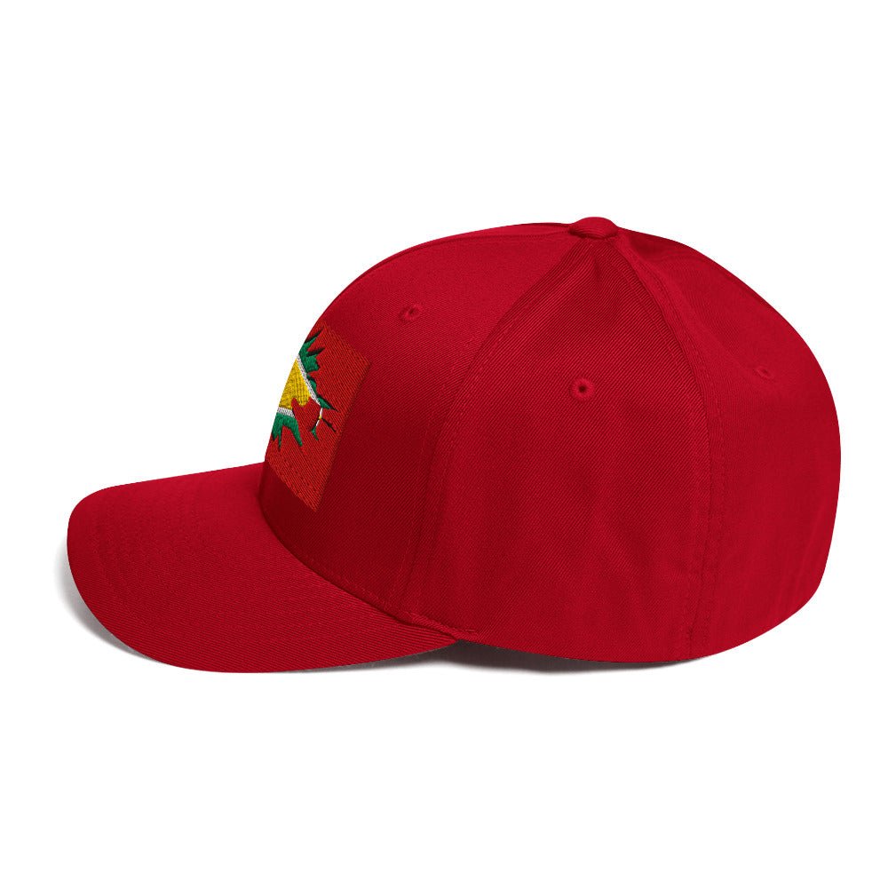 Guyana Flag Fitted Ball Cap - Conscious Apparel Store