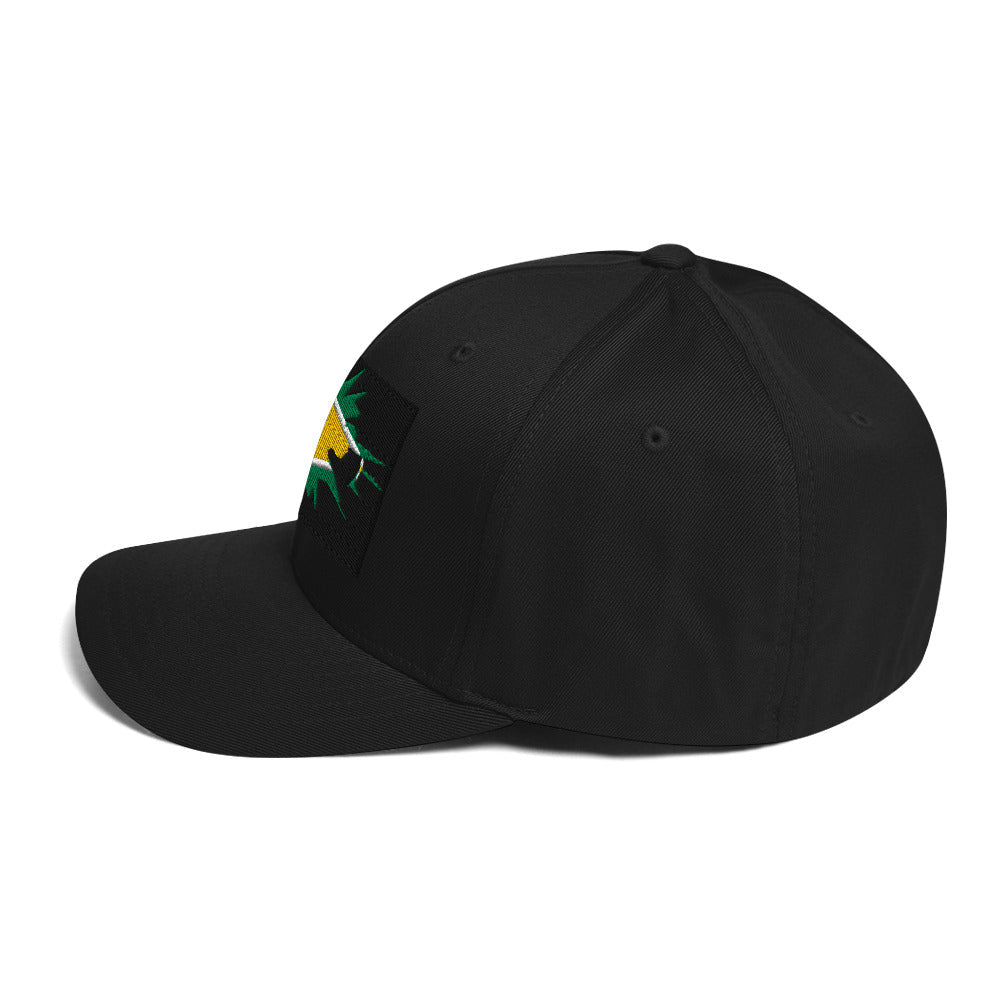 Guyana Flag Fitted Ball Cap - Conscious Apparel Store