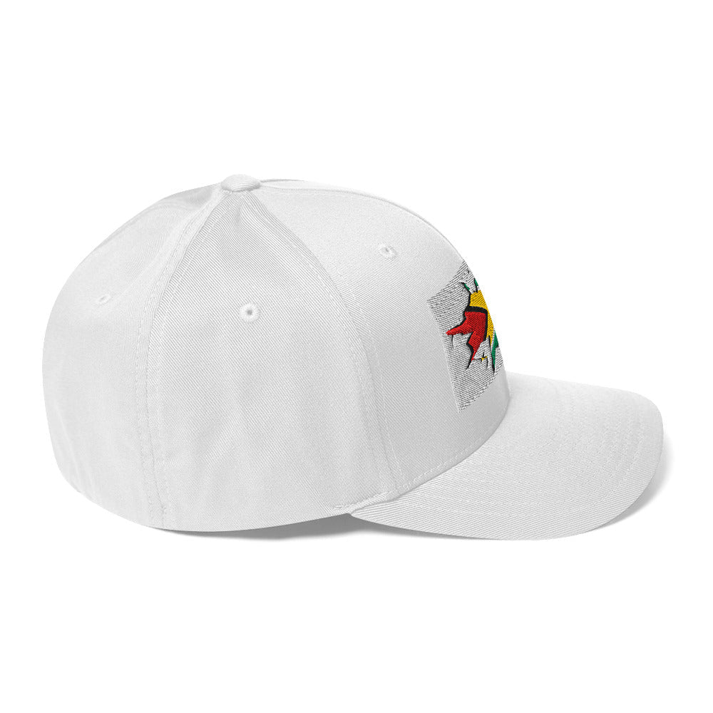 Guyana Flag Fitted Ball Cap - Conscious Apparel Store