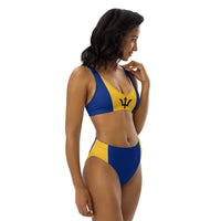 Barbados Flag High-Waisted Bikini Customizable Set - Conscious Apparel Store