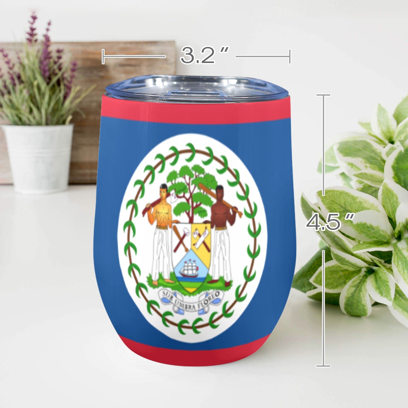 Belize Flag 12oz Wine Tumbler - Conscious Apparel Store
