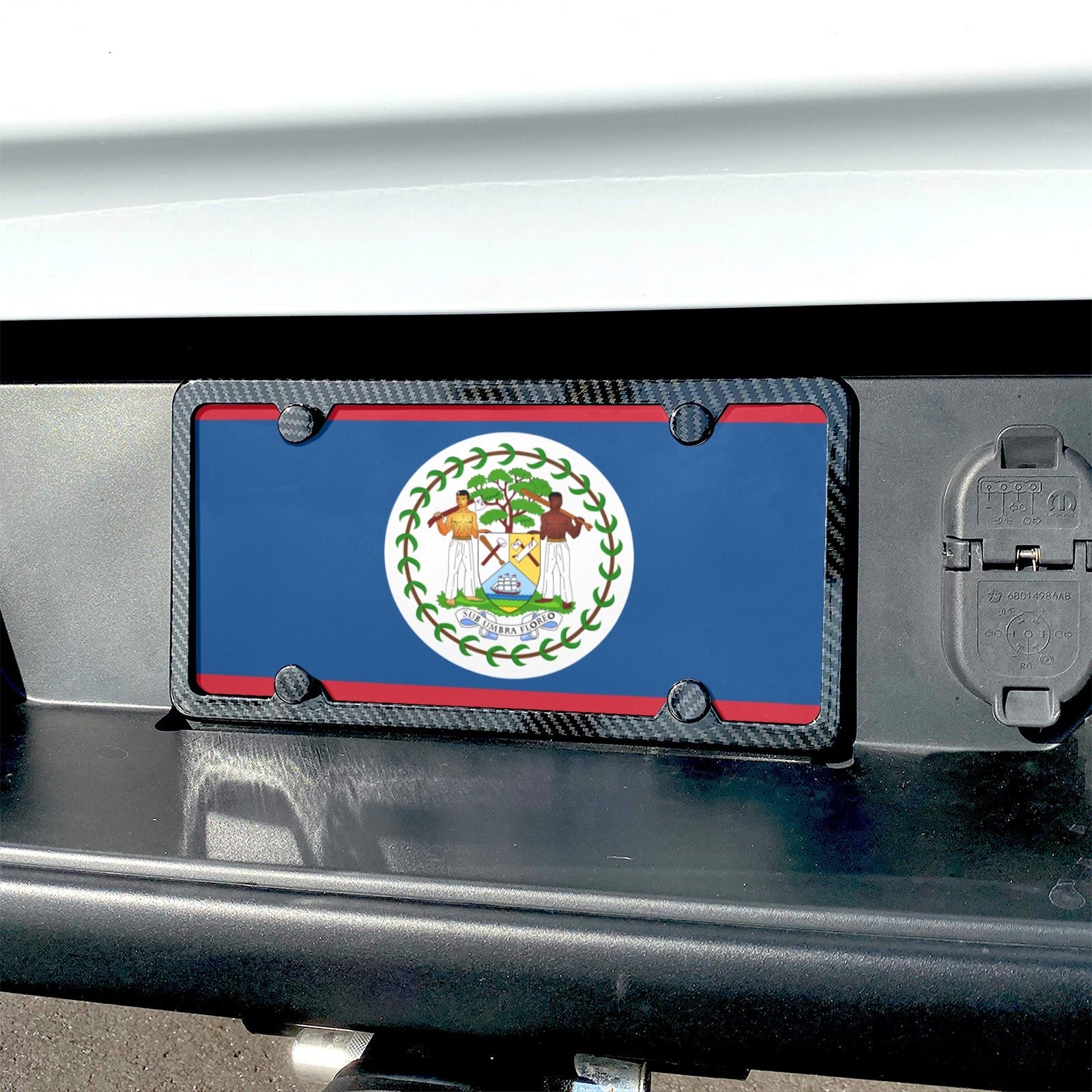 Belize Flag Custom License Plate - Conscious Apparel Store