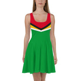 Guyana Flag Skater Dress - Conscious Apparel Store