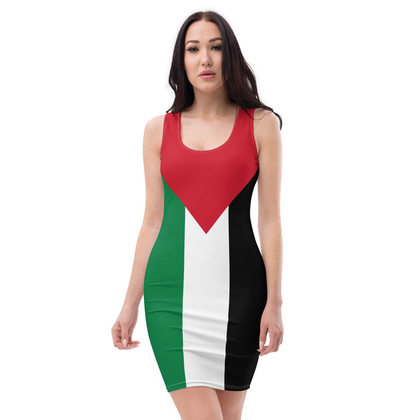 Palestine Flag Bodycon dress - Conscious Apparel Store